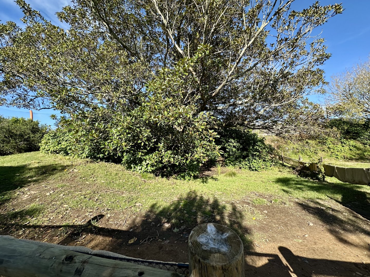 Australian Walkthrough (Emu Side)