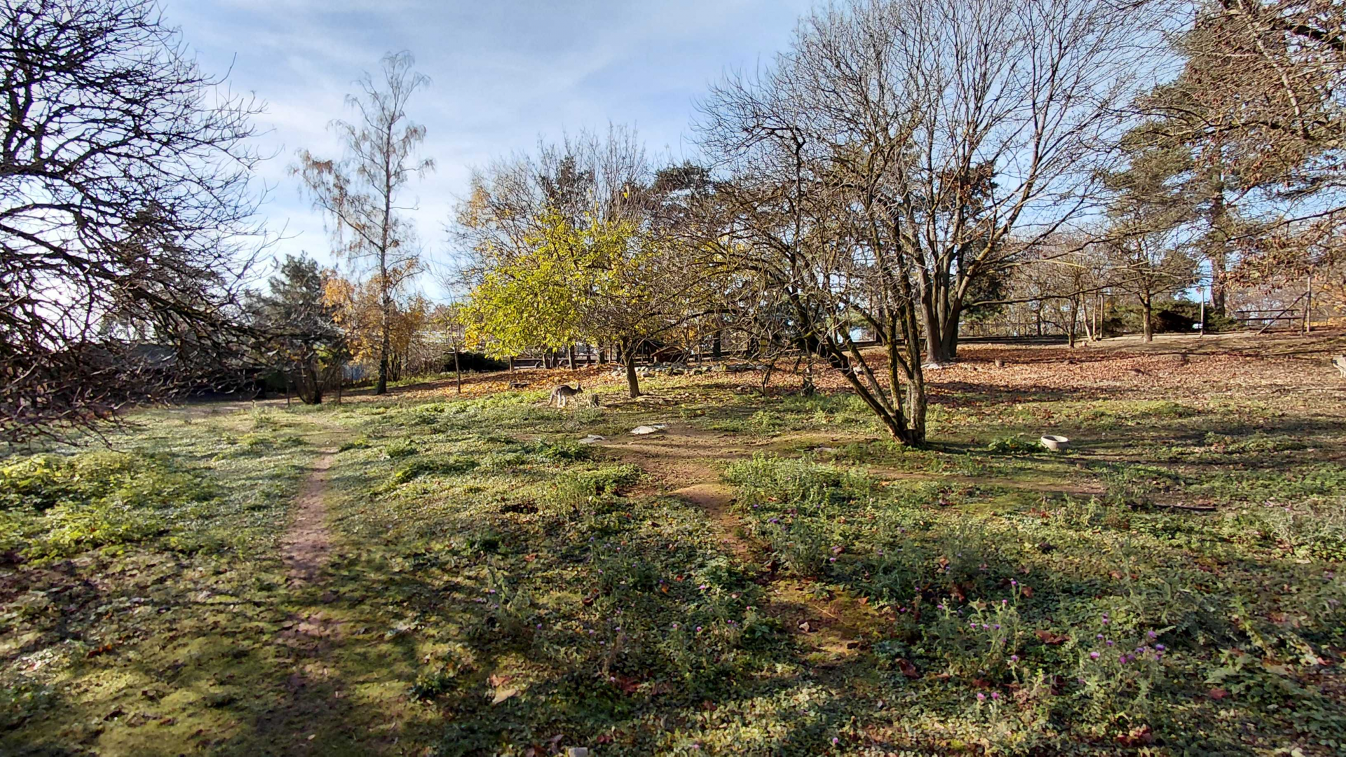 "Australian" walkthrough exhibit