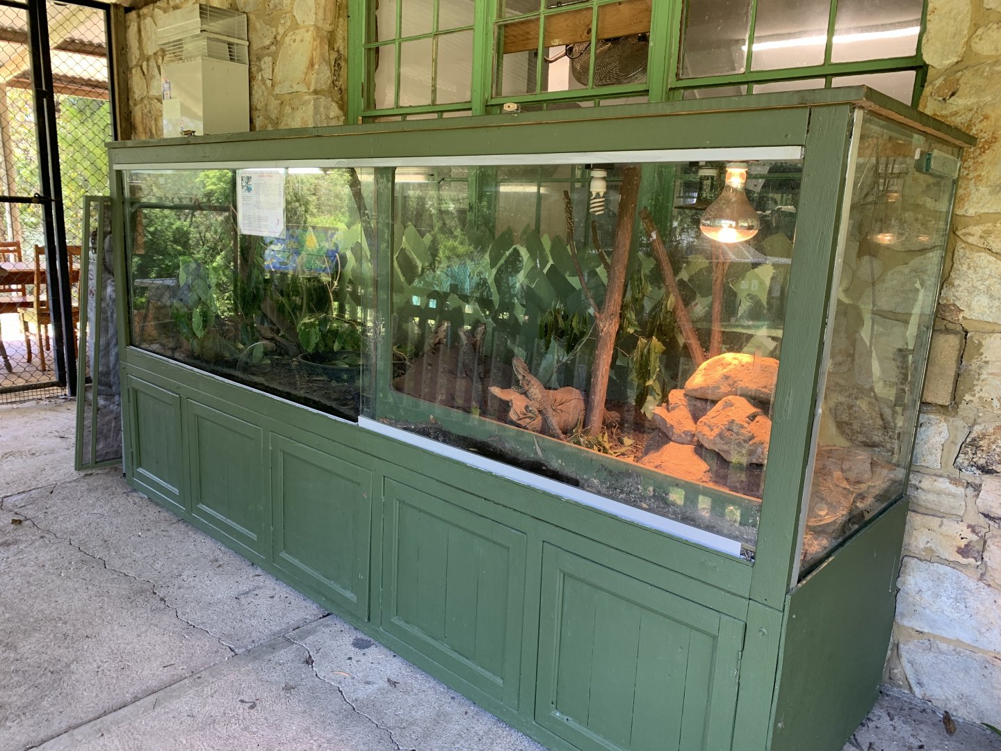 Australian Water Dragon Exhibit (Potoroo Palace)