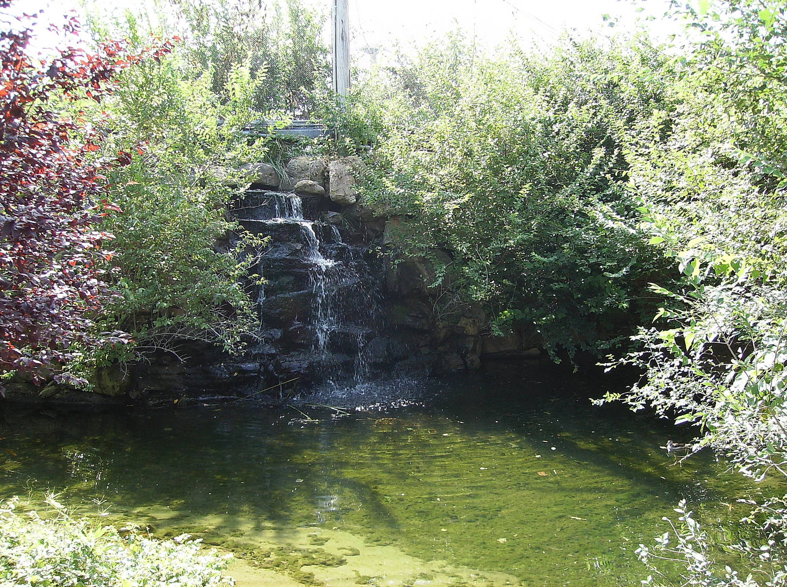 Australian waterfall