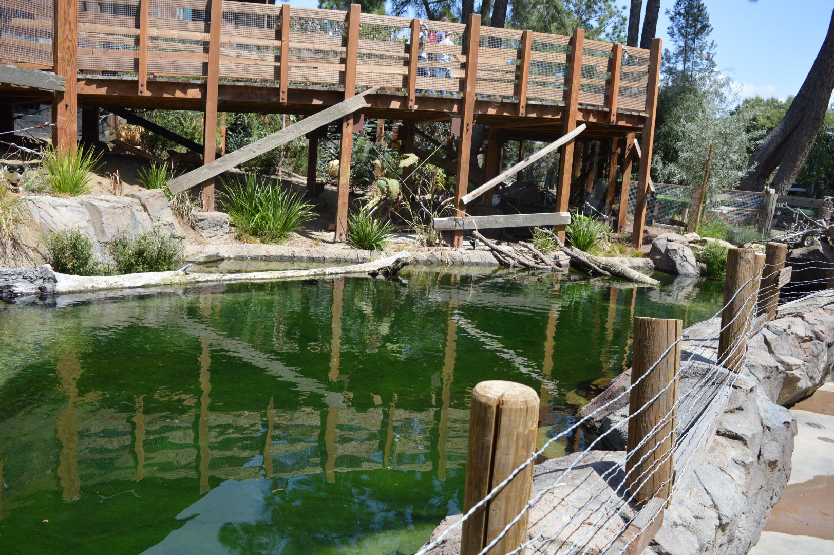 Australian Waterfowl Exhibit