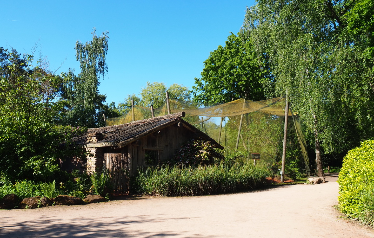 Australian waterfront aviary and bird house, 2021-06-01