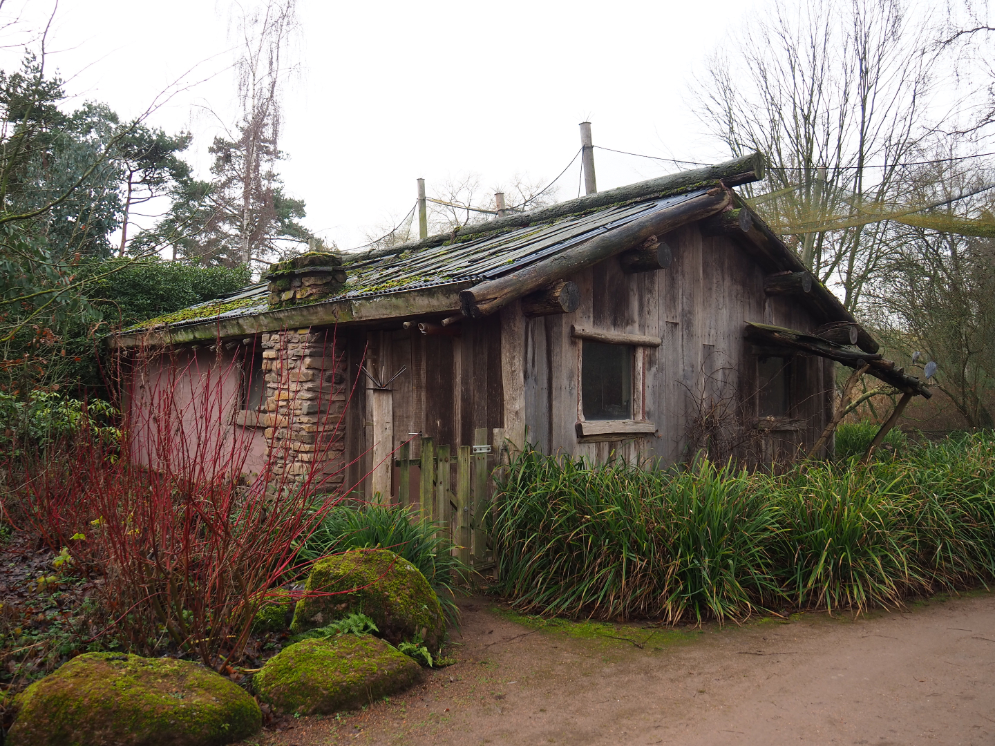 Australian waterside aviary bird house, 2020-01-11