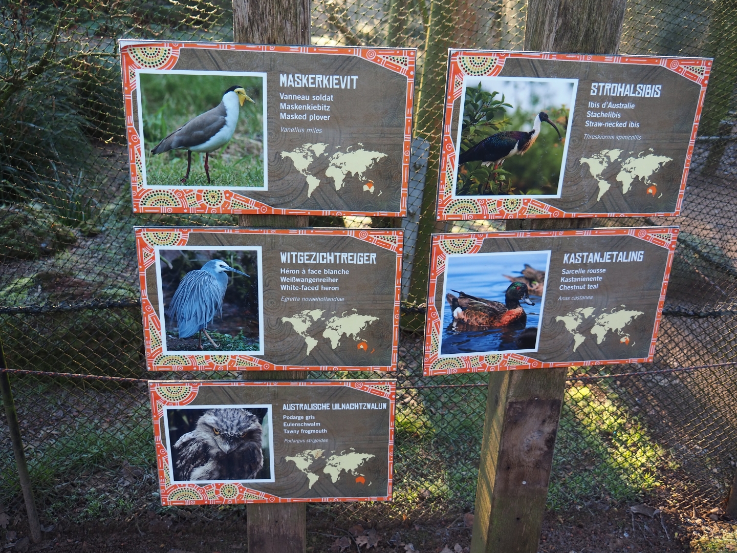 Australian waterside aviary bird signs (Jan 20th, 2019)
