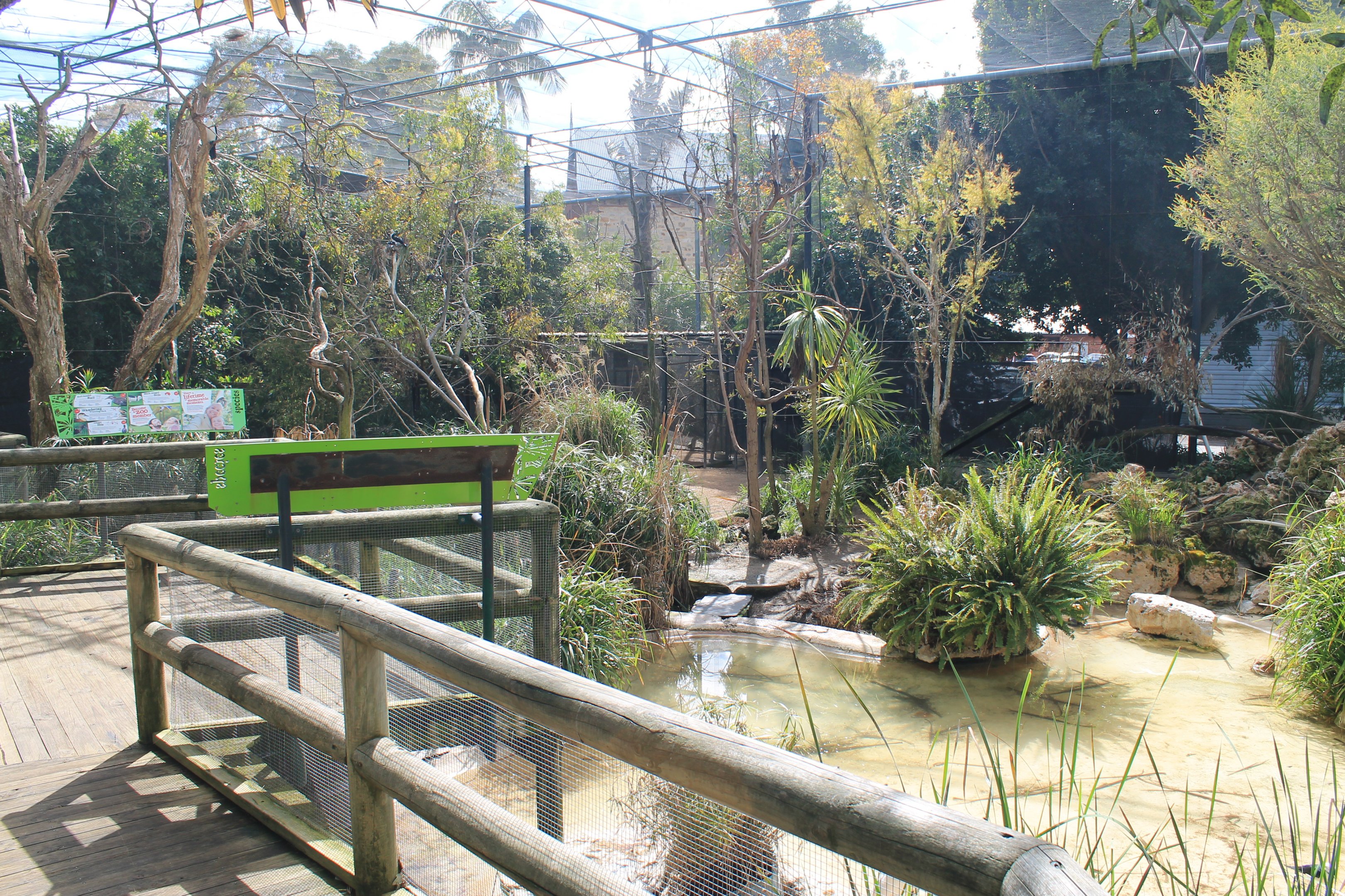 Australian Wetland walk-through aviary