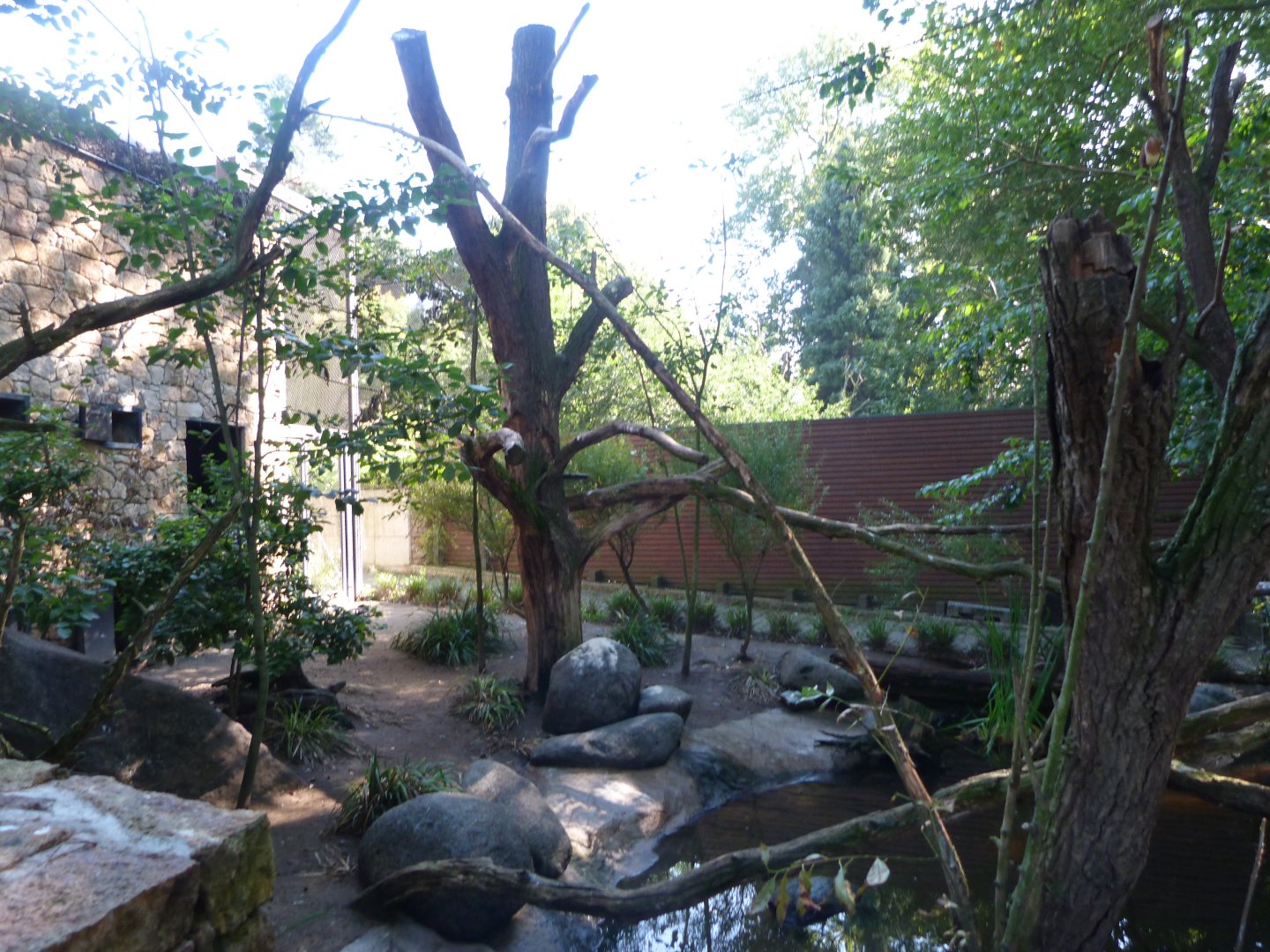 Australian wetlands aviary -Zoo Praha (2025)