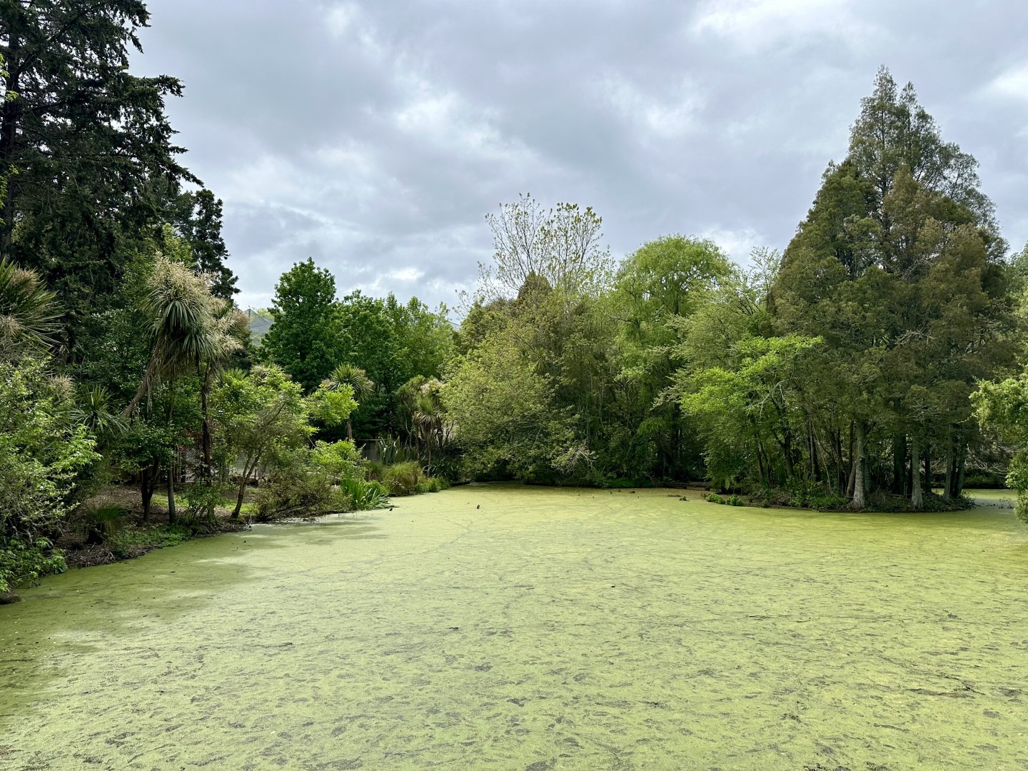 Australian Wetlands Exhibit