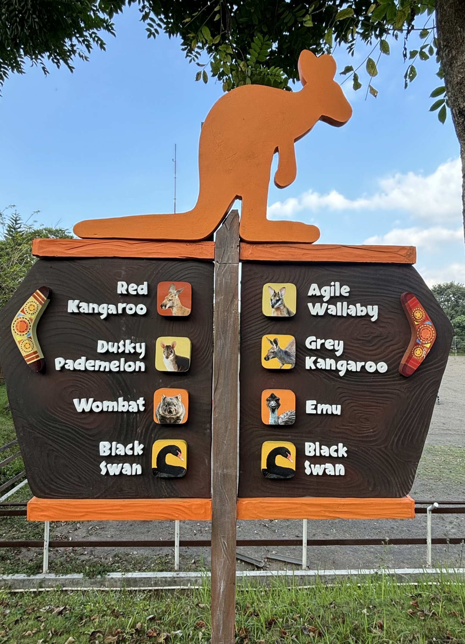 Australiana - species list