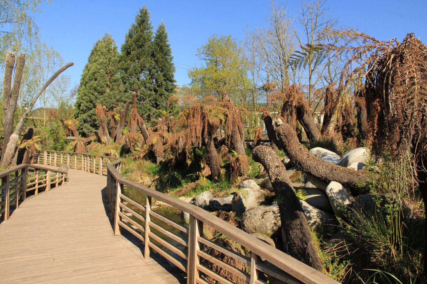 Australien plants (April 2019)