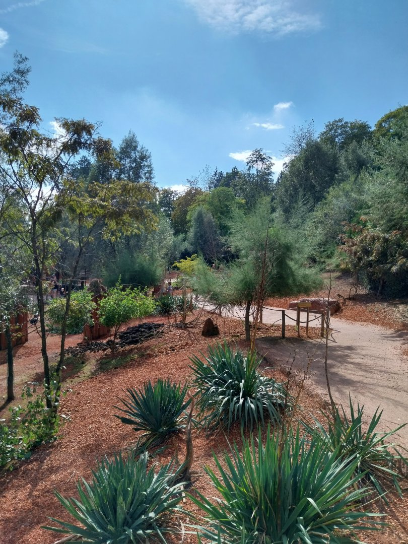 Australienhaus - Australian Bush walk-through