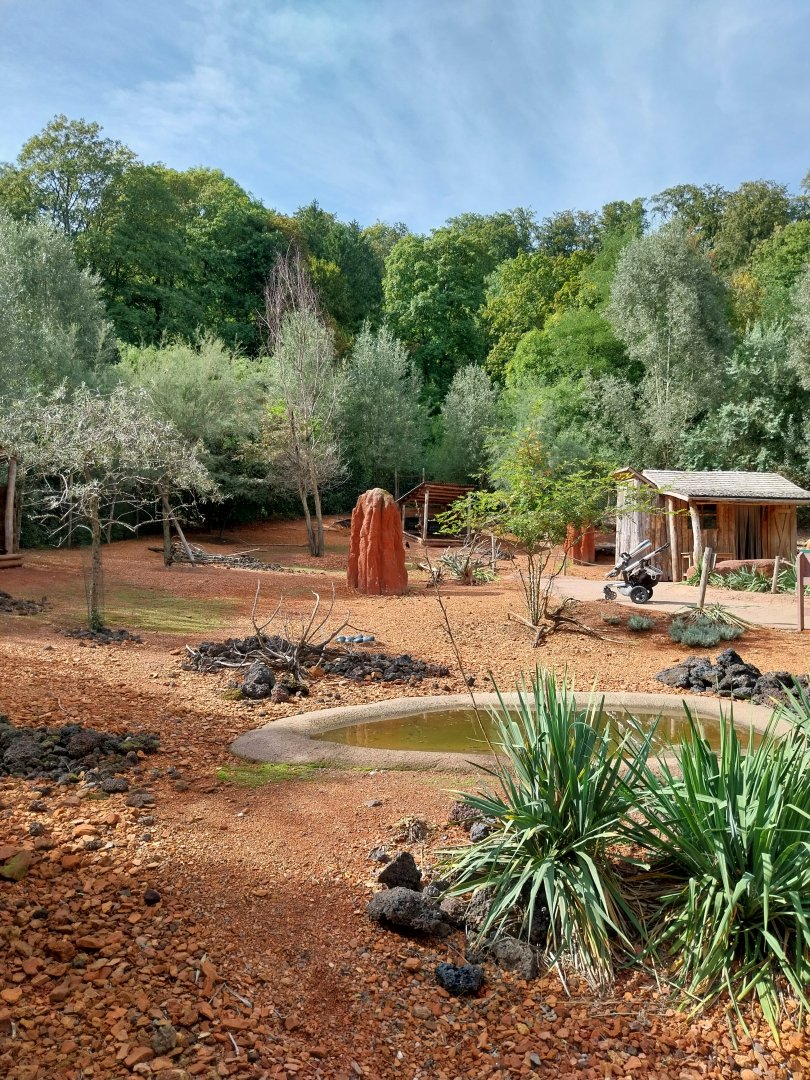 Australienhaus - Bush walkthrough