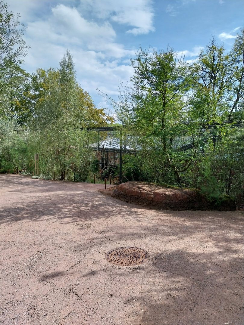 Australienhaus - Rainbow lorikeet aviary