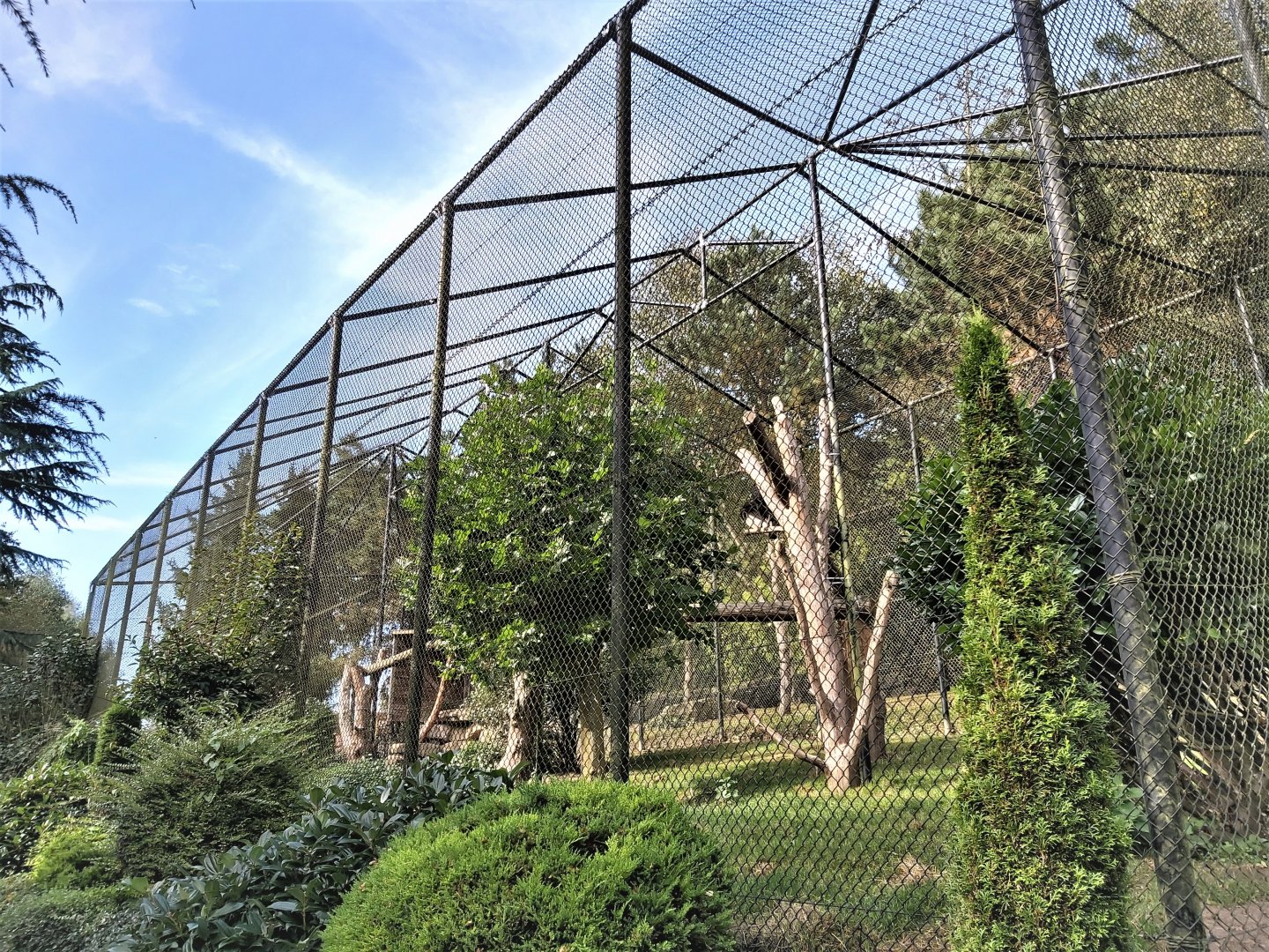Austrian aviary