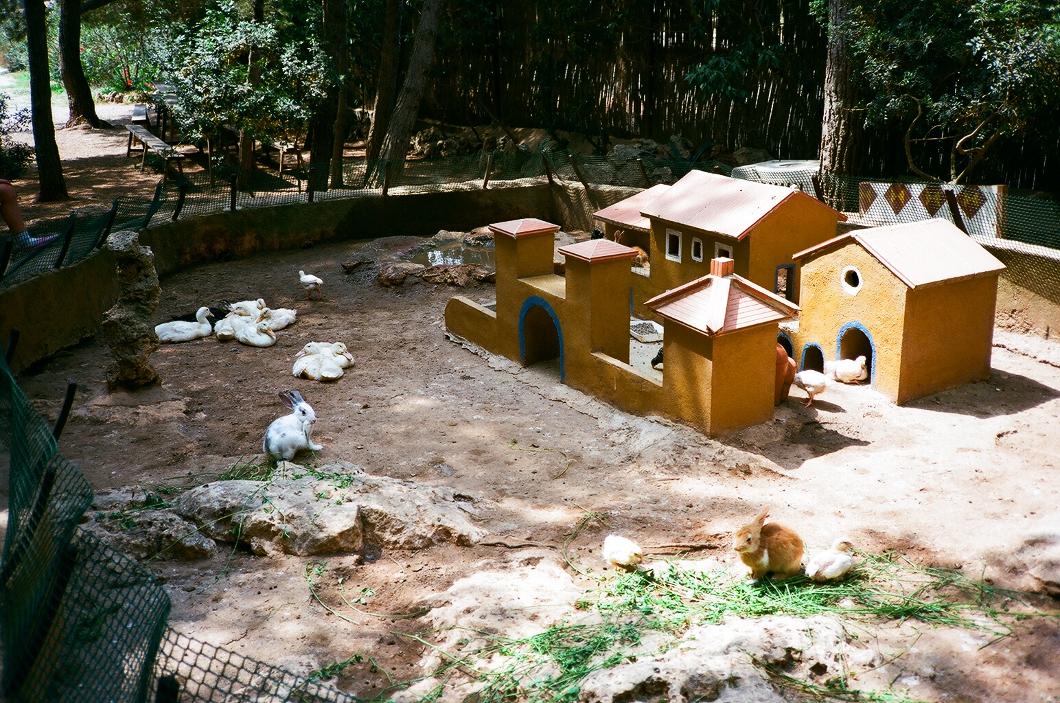 Auto Safari Zoo 1989 - Rabbit village