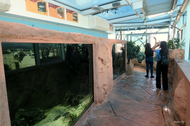 Autralia - 9th floor