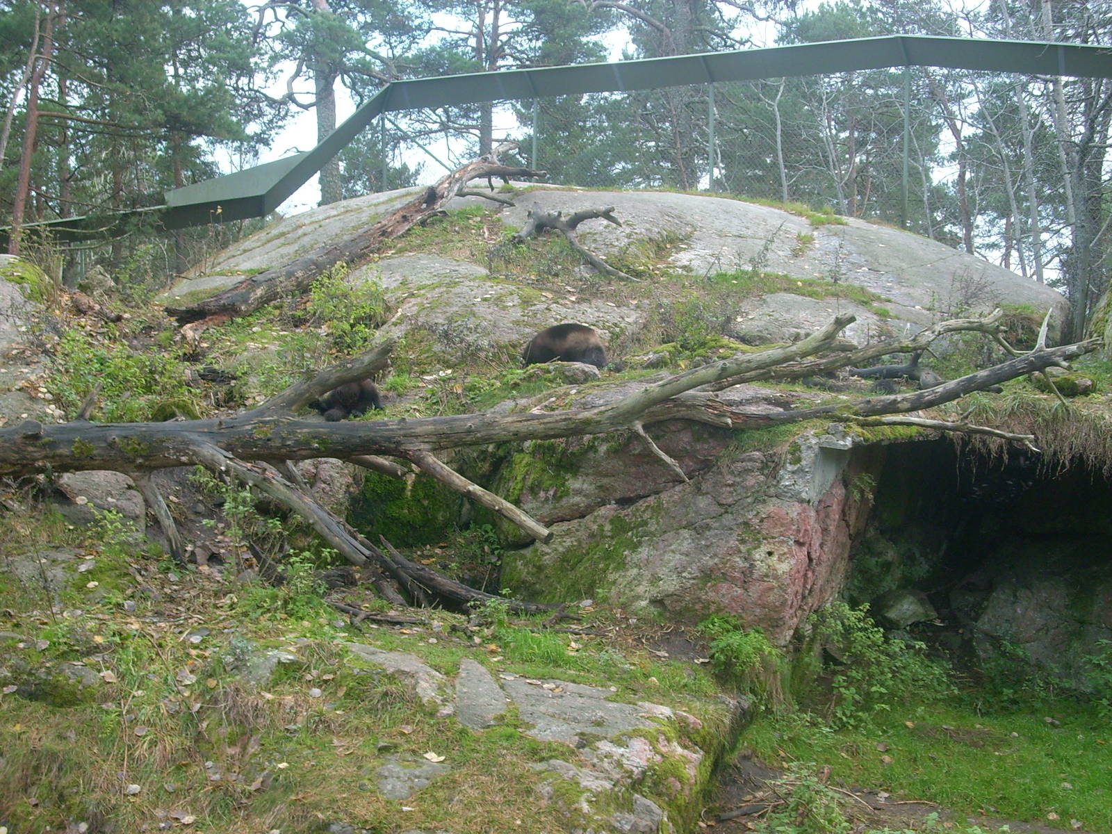 autumn at kolmården zoo