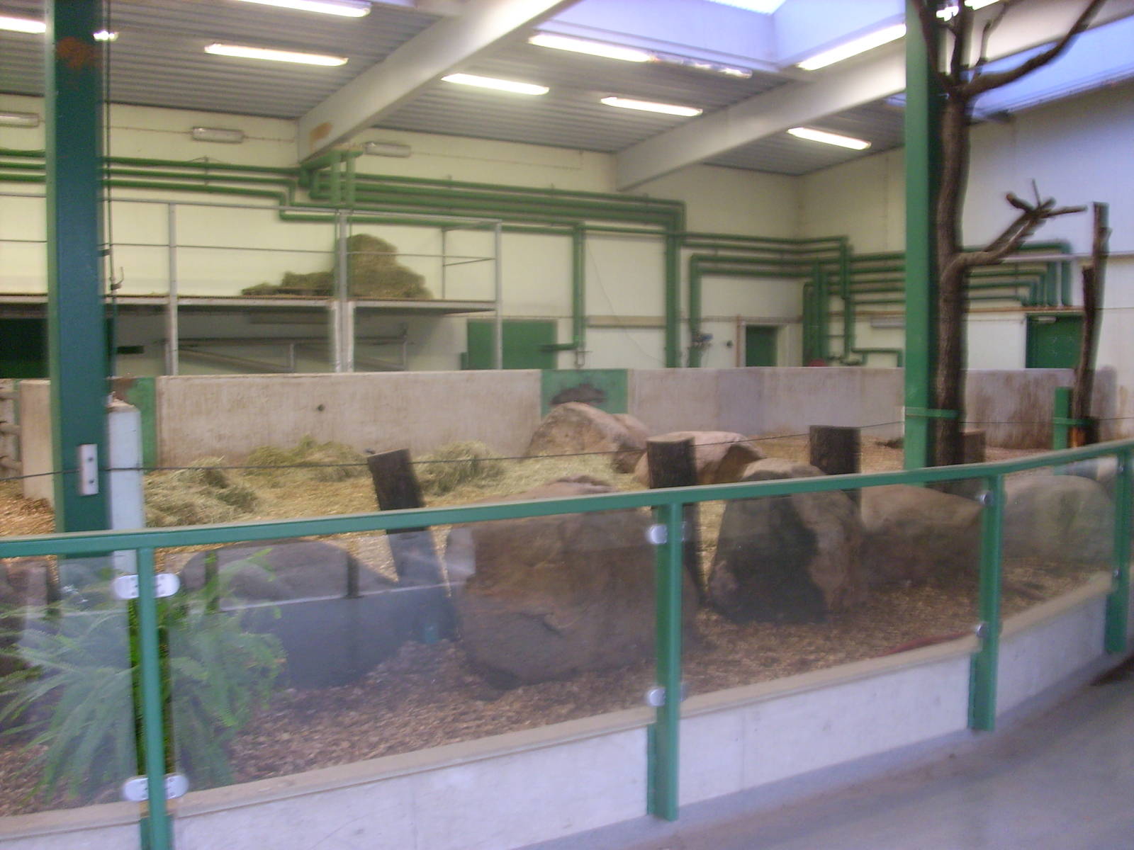 autumn at kolmården zoo