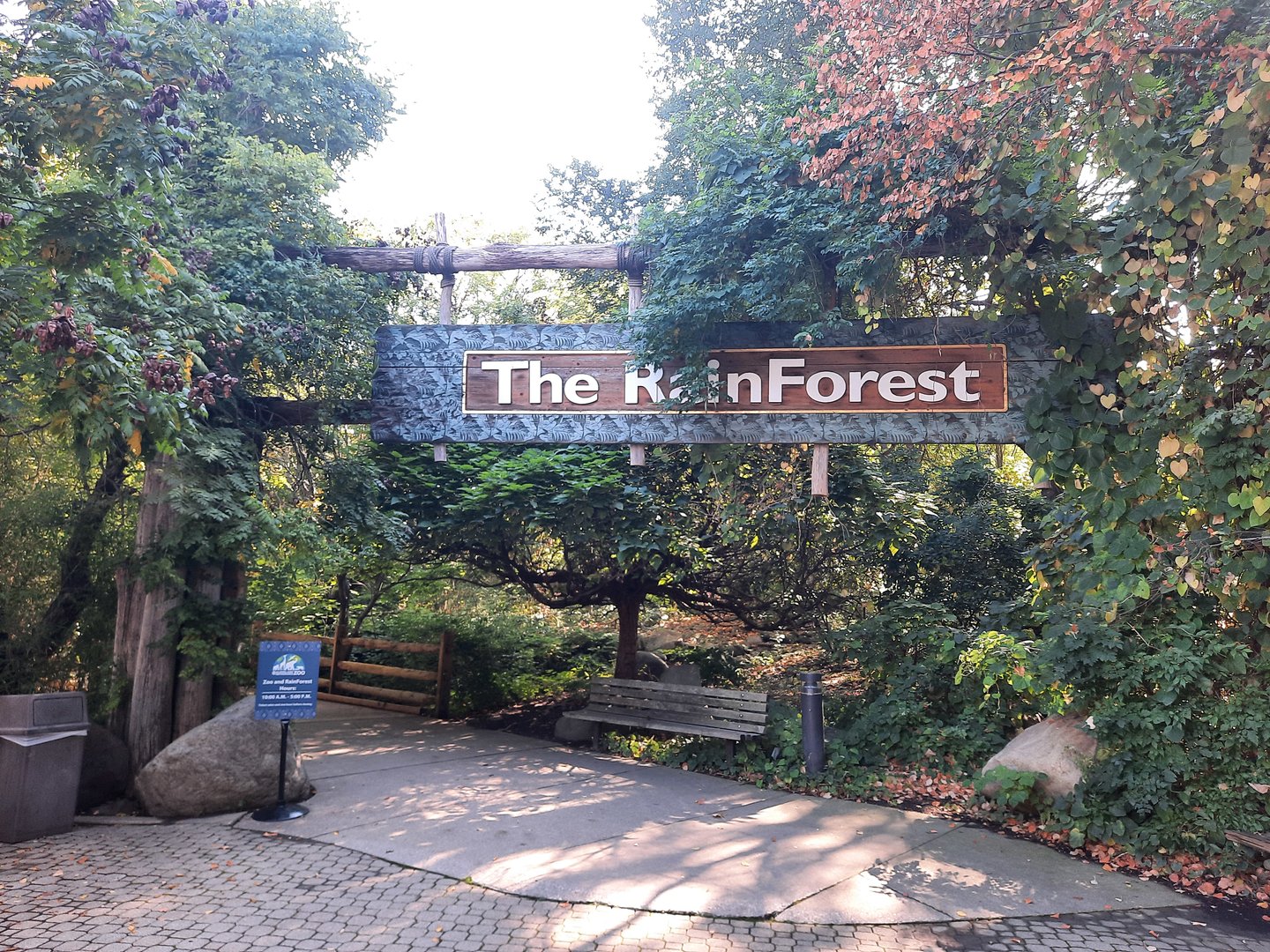 Autumn comes to The RainForest