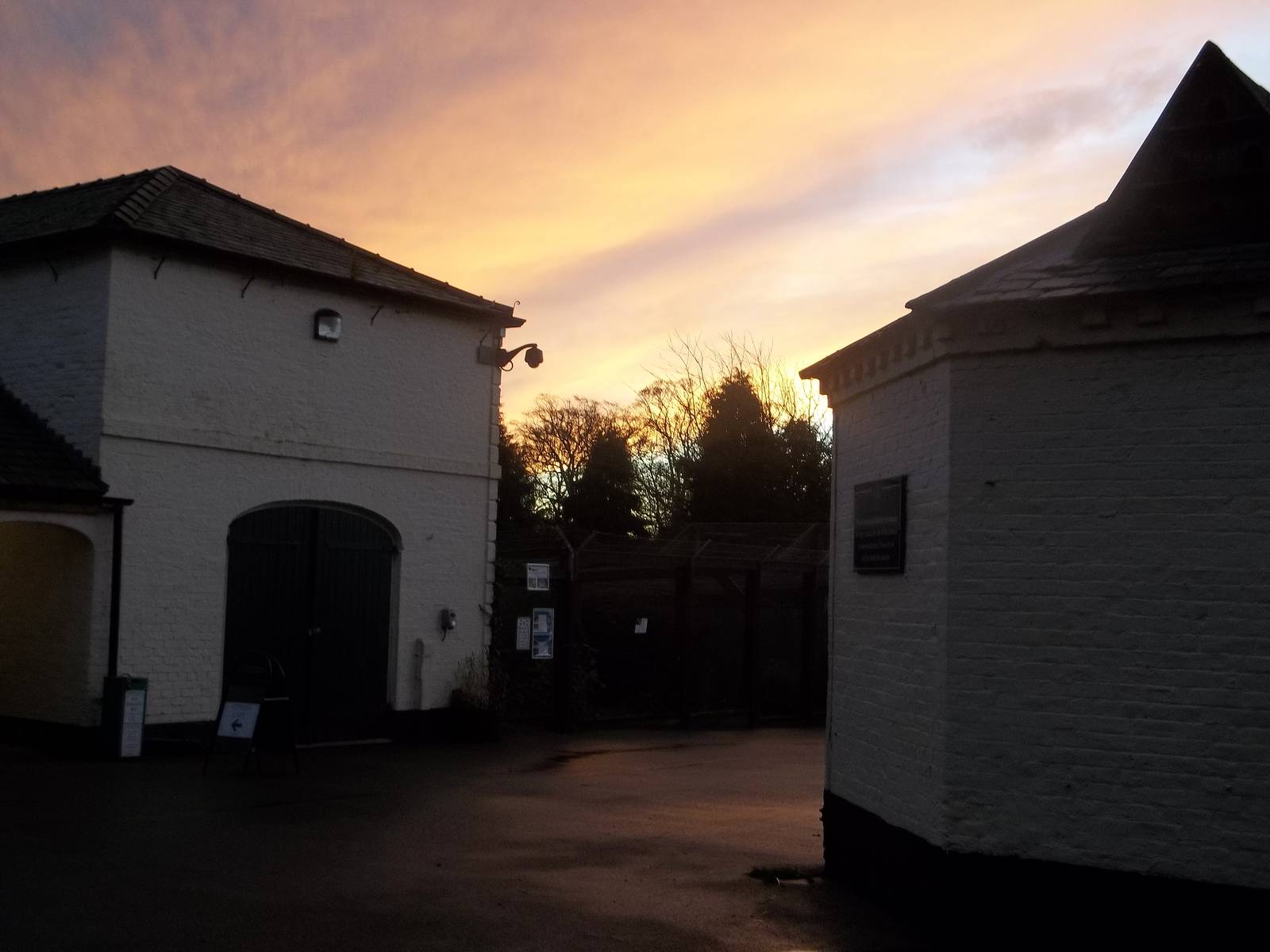 Autumn contrasts I, 23rd November 2014