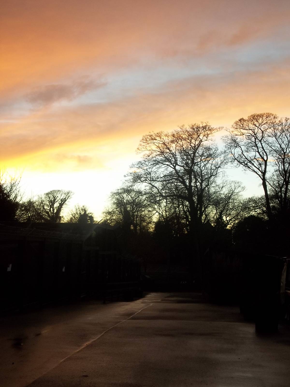 Autumn contrasts II, 23rd November 2014