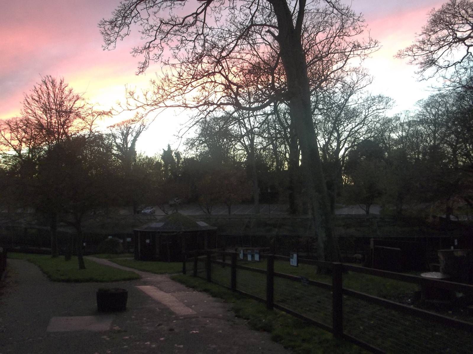 Autumn contrasts III, 23rd November 2014