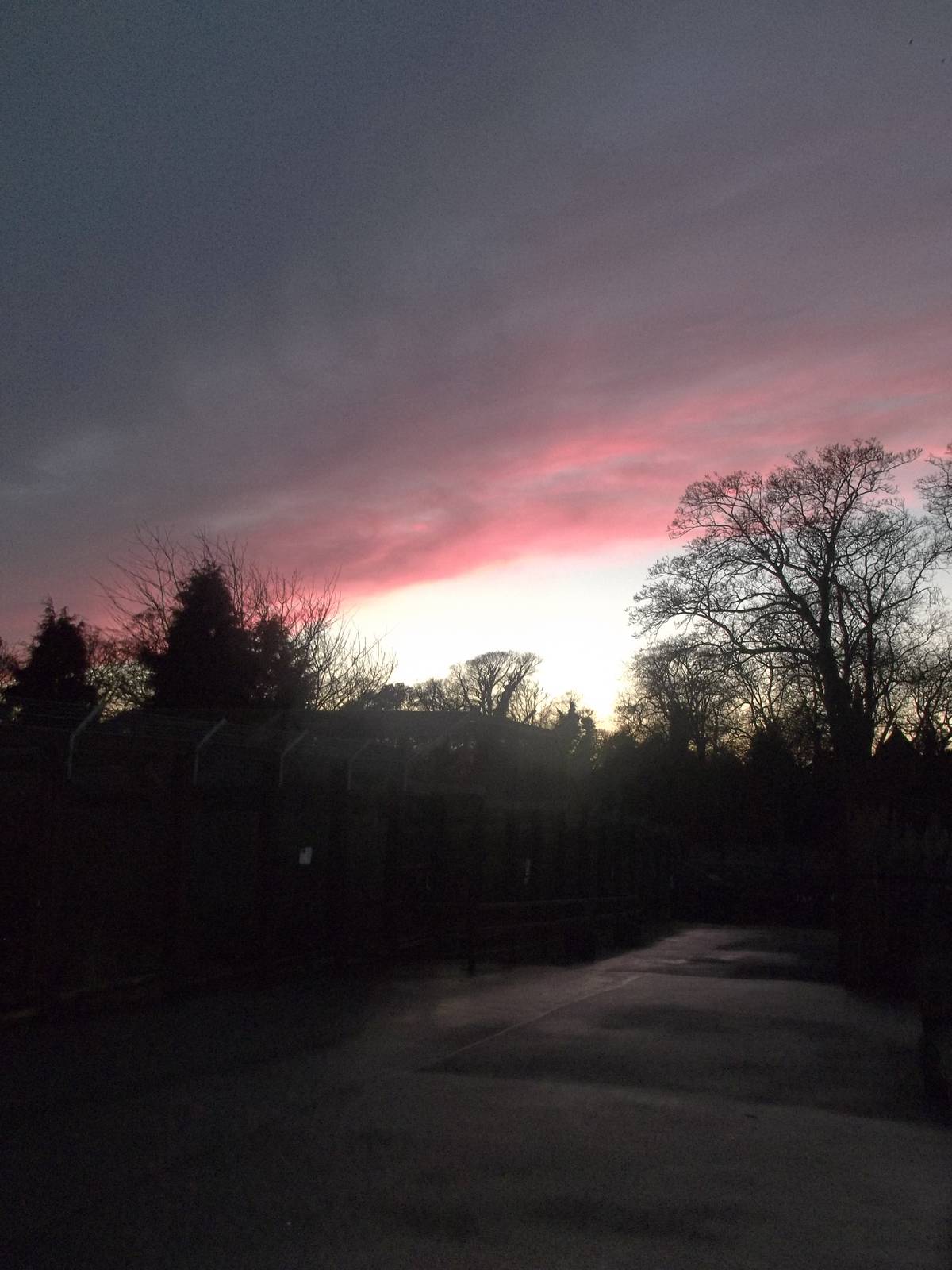 Autumn contrasts IV, 23rd November 2014