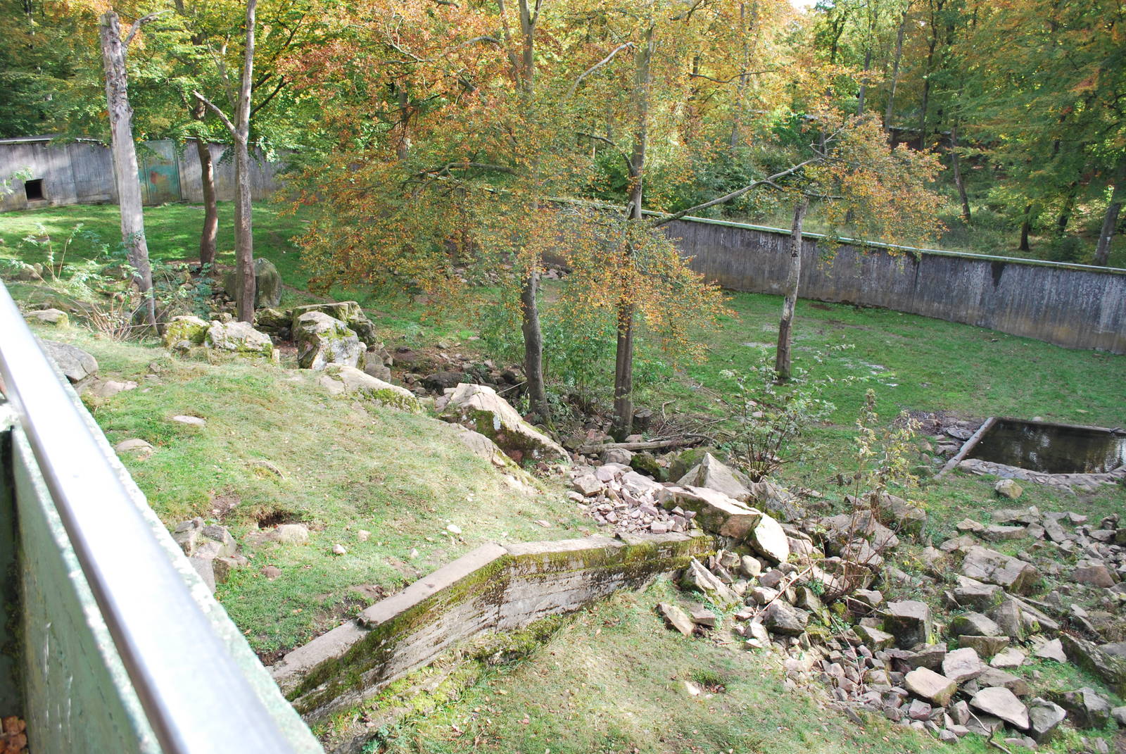 Autumn in Skanes Animal Park - adult brown bear enclosure