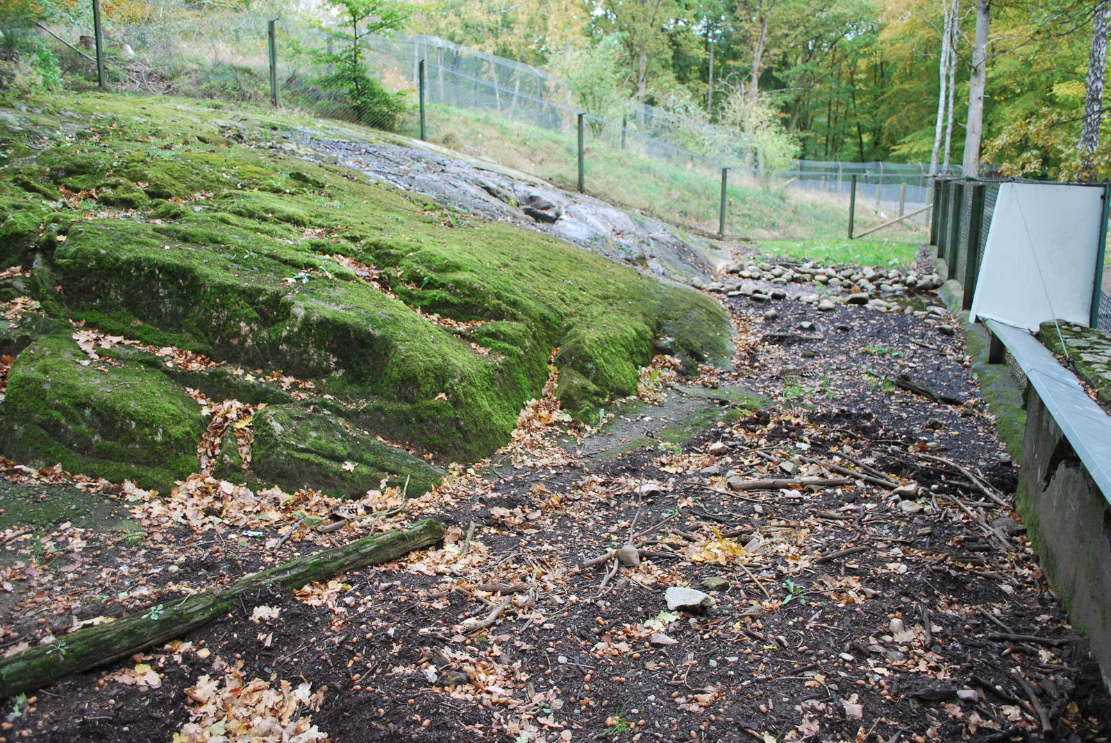 Autumn in Skanes Animal Park - badger enclosure