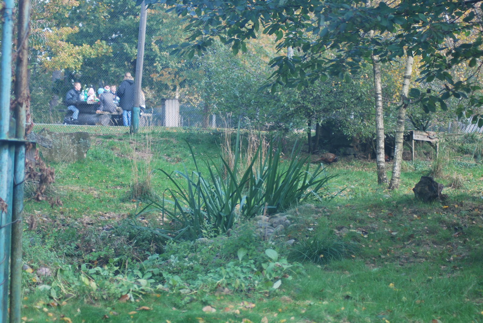 Autumn in Skanes Animal Park - big bird aviary
