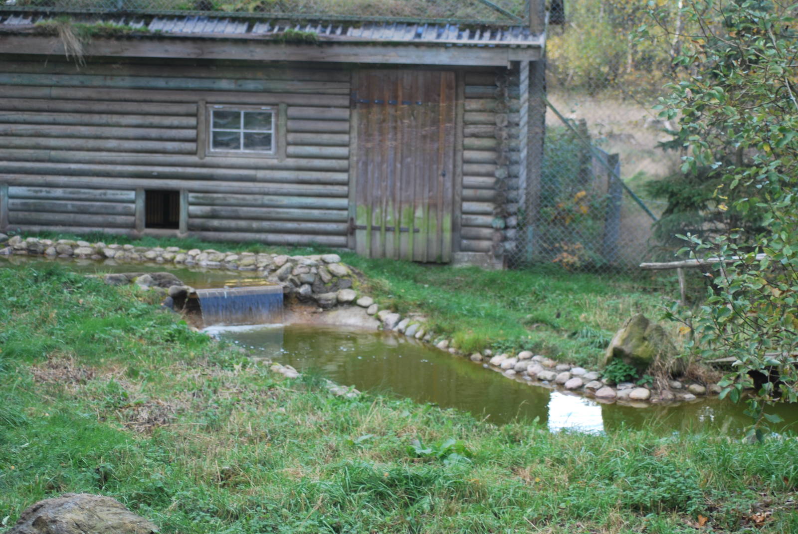 Autumn in Skanes Animal Park - details from the lynx enclosure