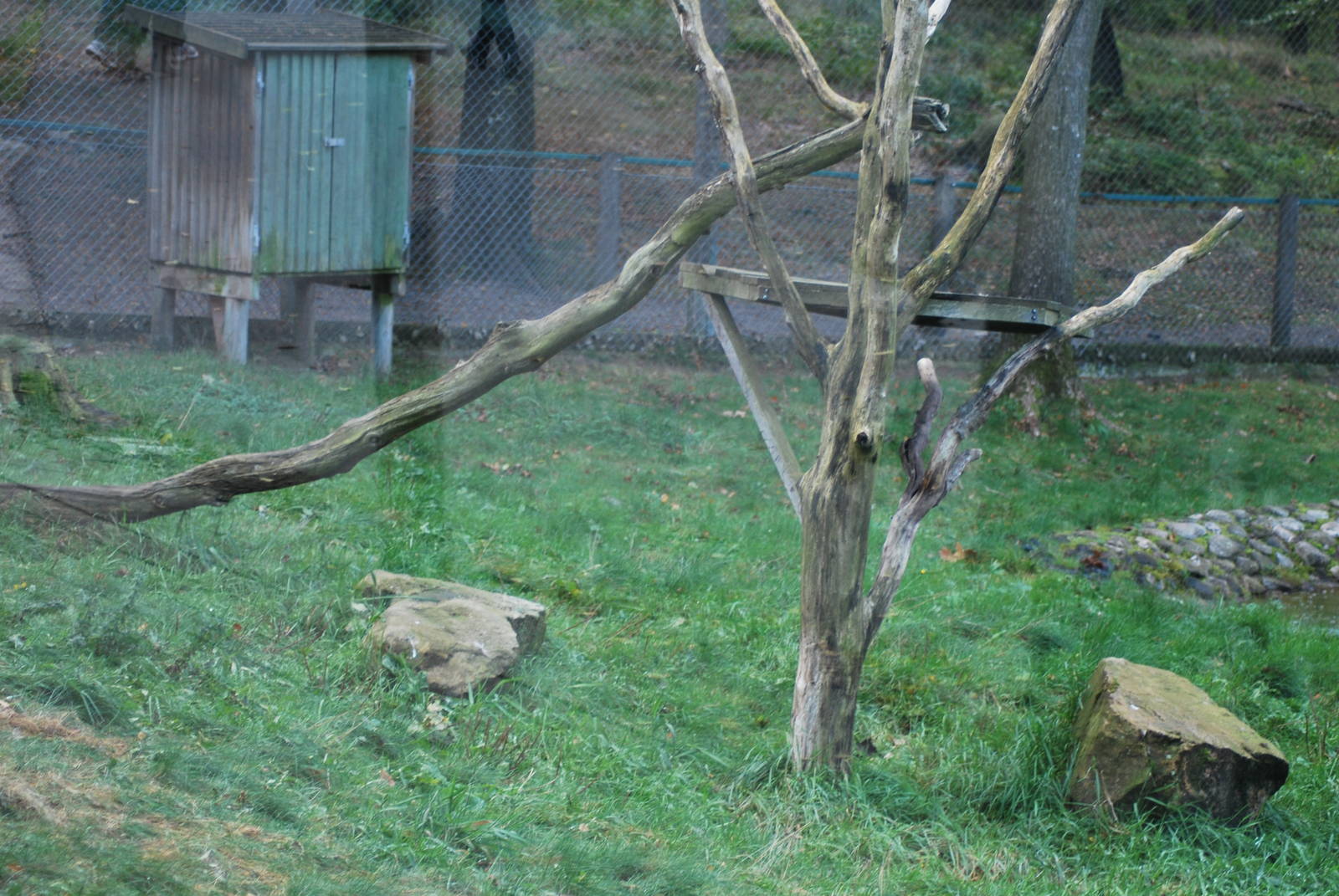 Autumn in Skanes Animal Park - details from the lynx enclosure