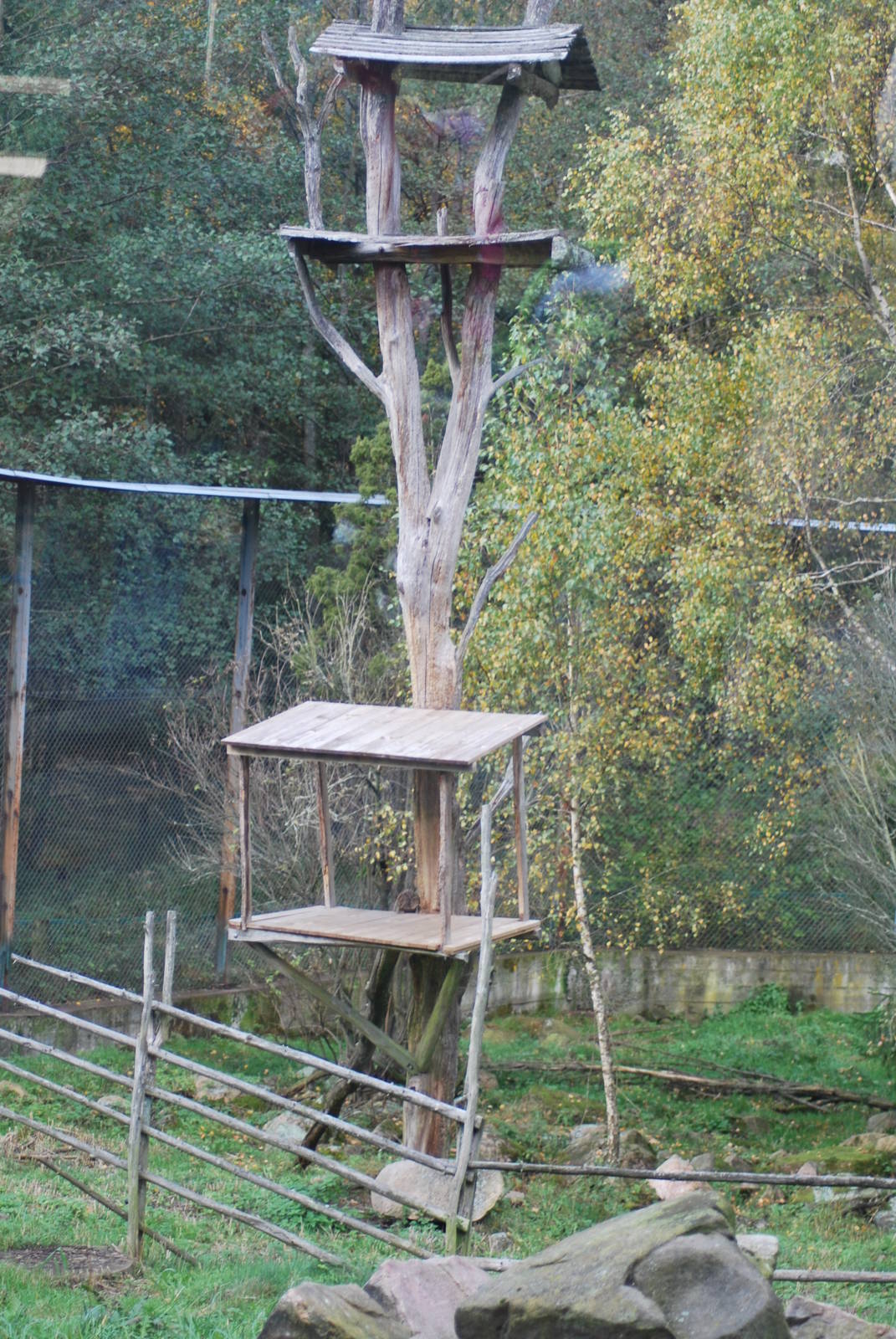 Autumn in Skanes Animal Park - details from the lynx enclosure
