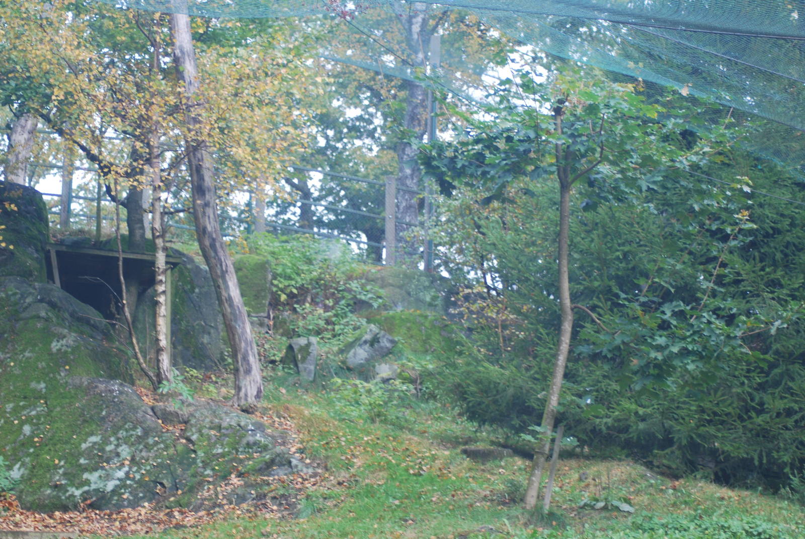 Autumn in Skanes Animal Park - eagle owl aviary