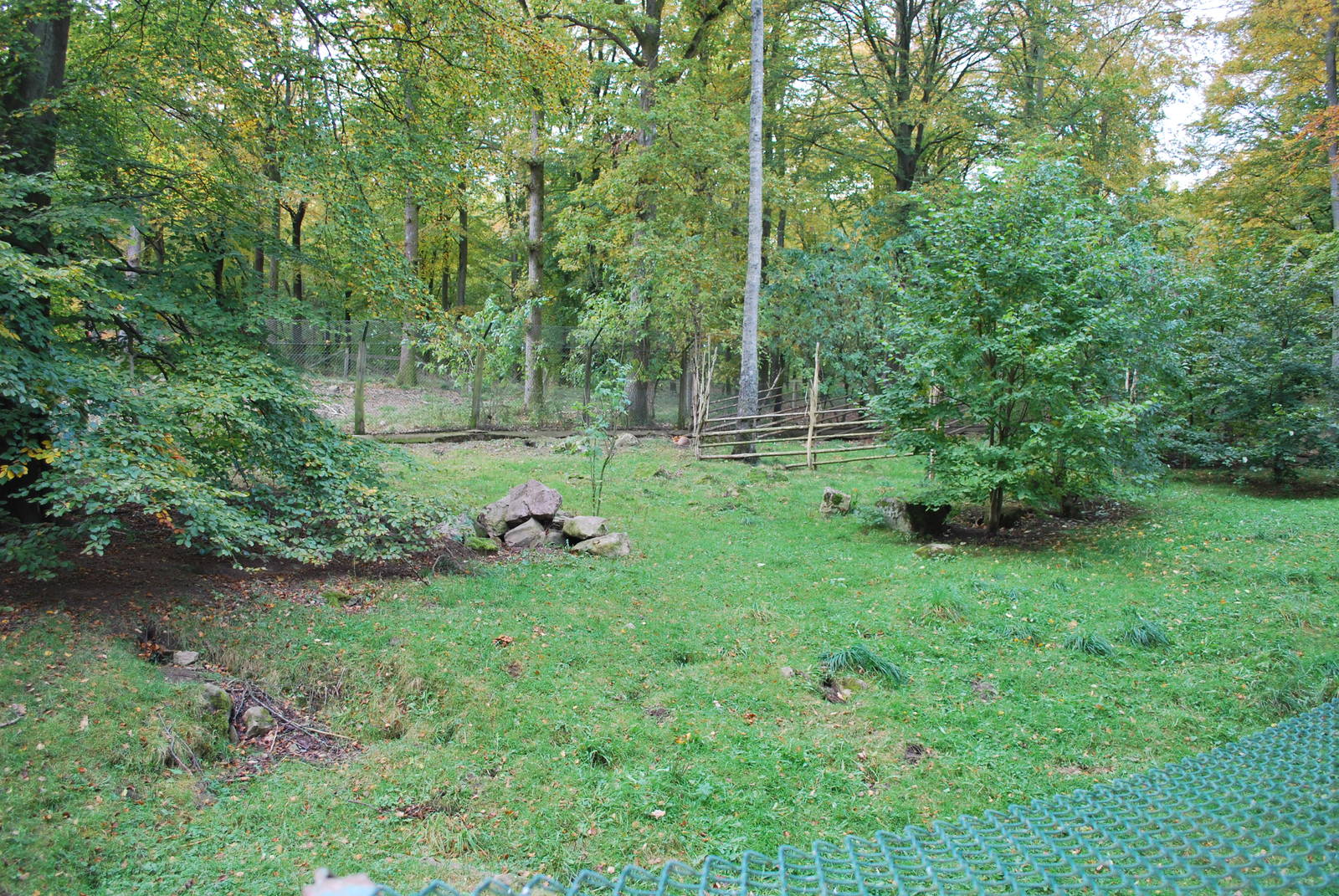 Autumn in Skanes Animal Park - red fox enclosure