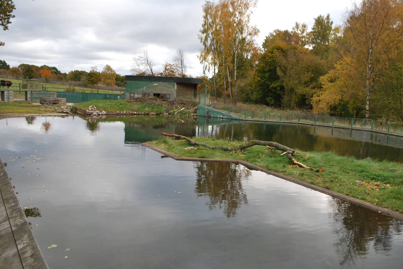 Autumn in Skanes Animal Park - the beaver enclosure
