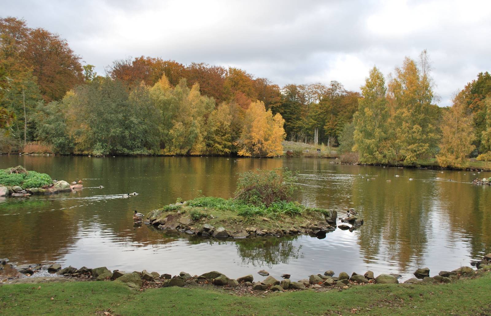 Autumn in Skanes Animal Park - the birds lake