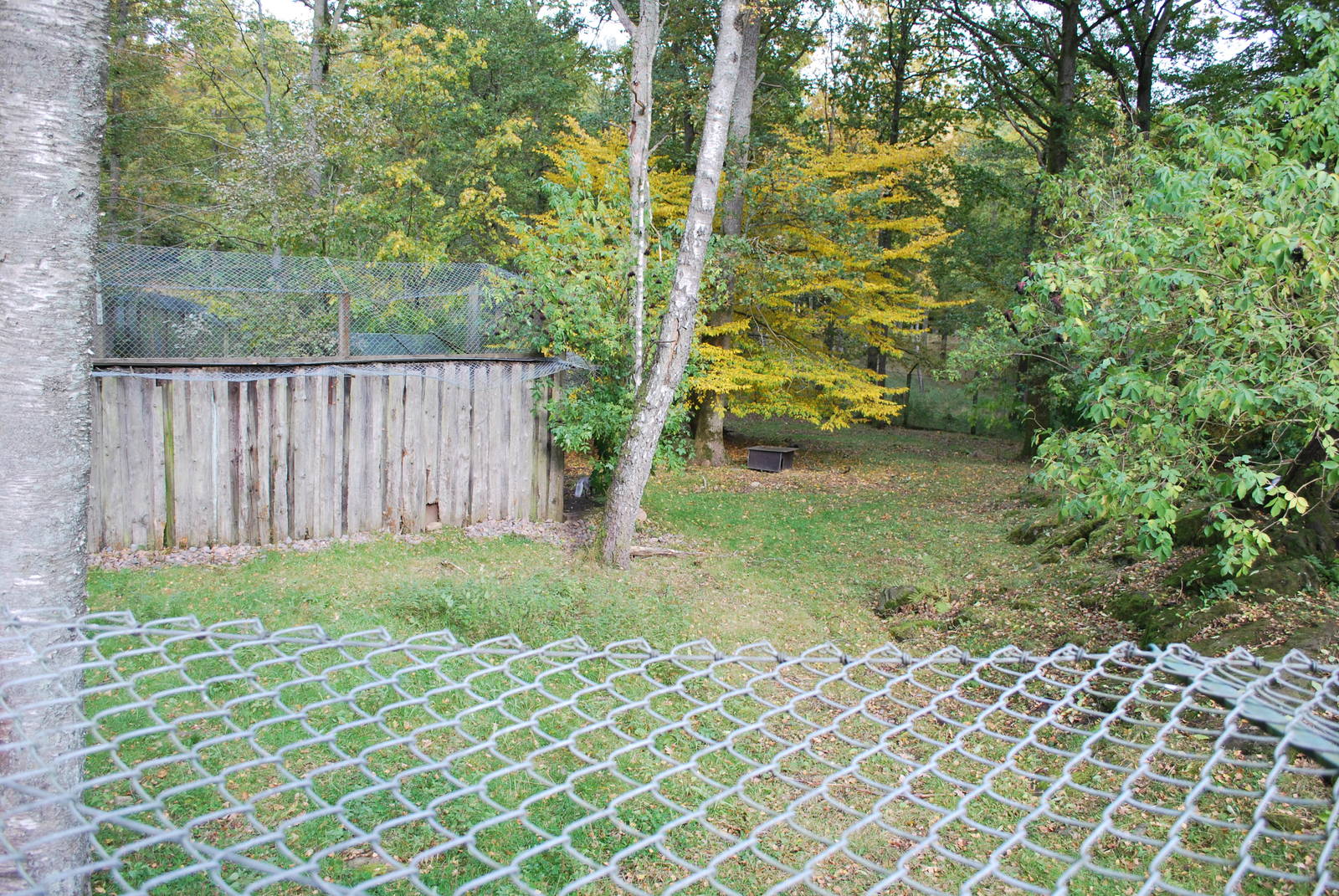 Autumn in Skanes Animal Park - the enclosure for arctic fox