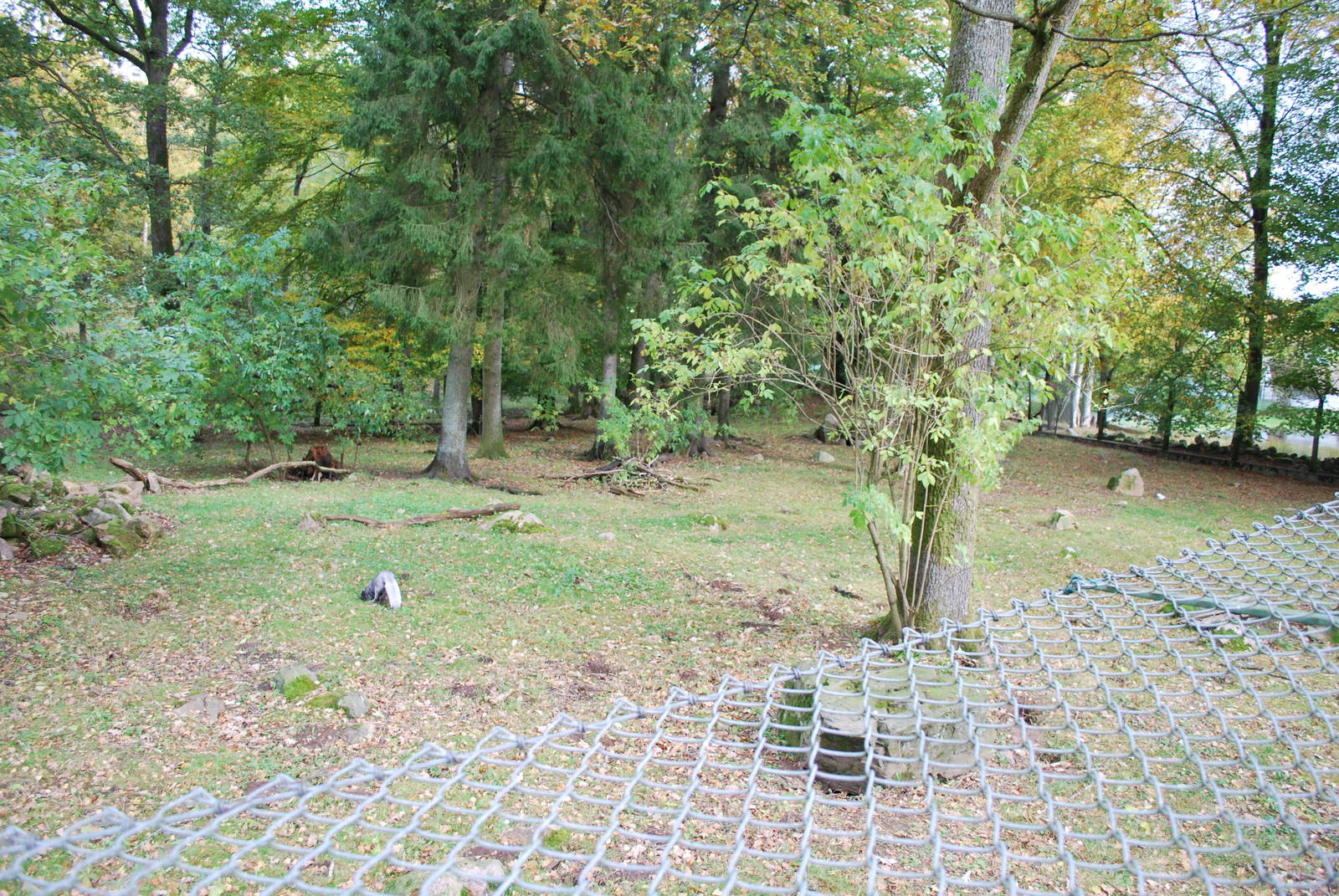 Autumn in Skanes Animal Park - the enclosure for arctic fox