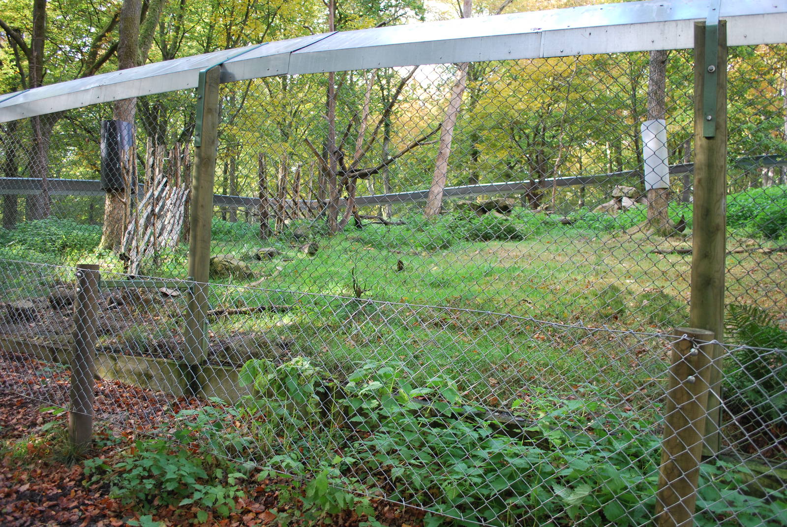 Autumn in Skanes Animal Park - the smaller of the two wolverine enclosures