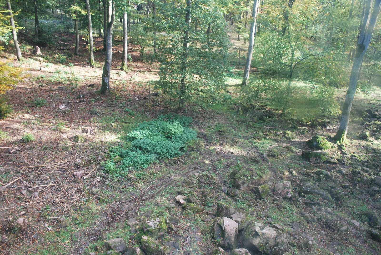 Autumn in Skanes Animal Park - the wolf enclosure
