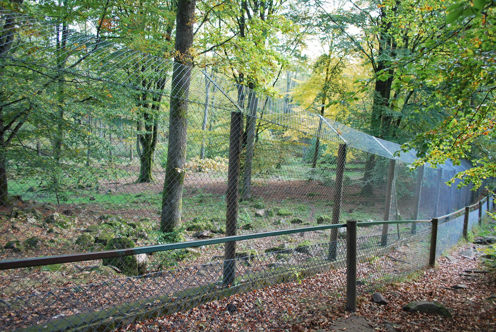 Autumn in Skanes Animal Park - the wolf enclosure