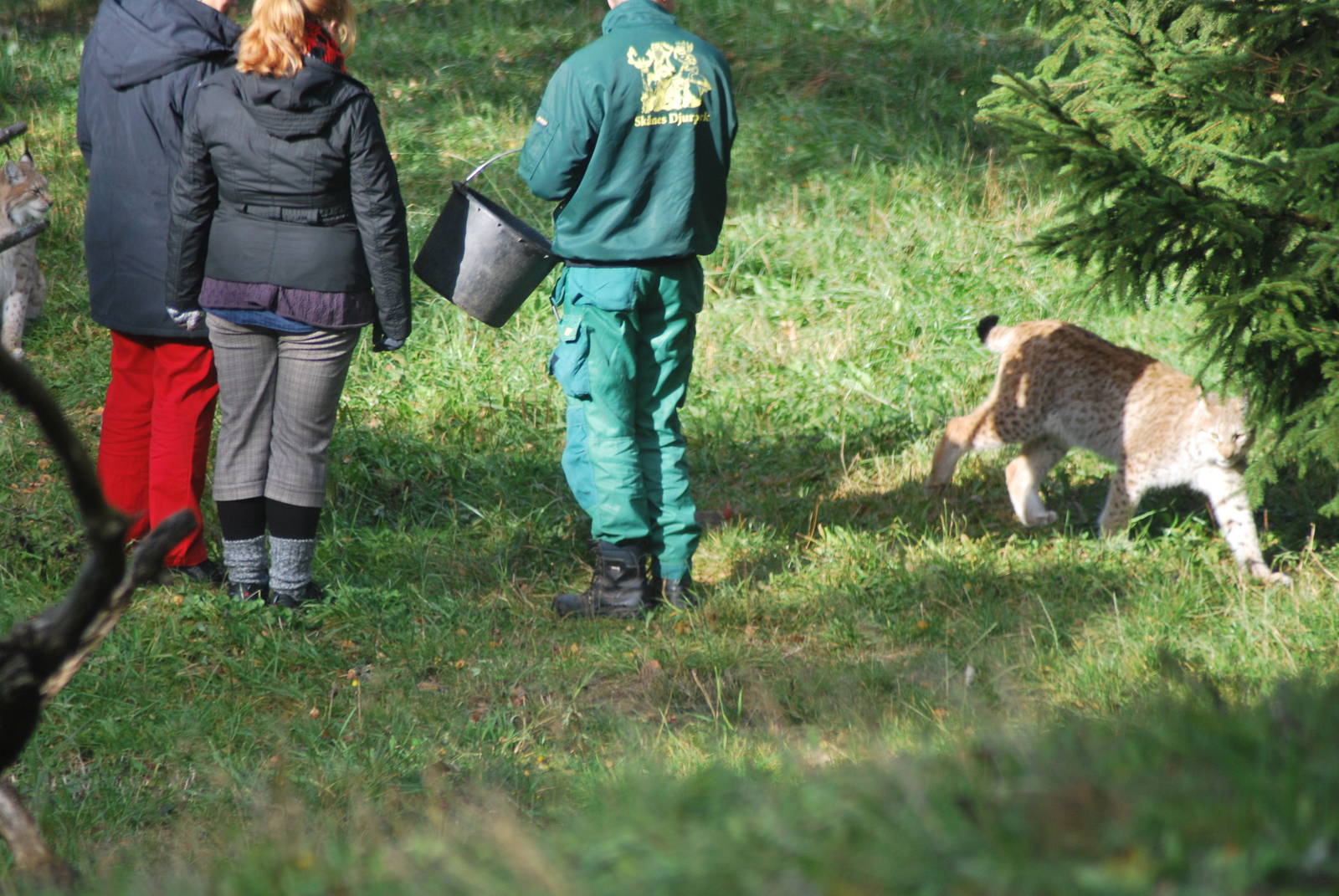 Autumn in Skanes Animal Park - Visitors joining keeper for a feeding sessio