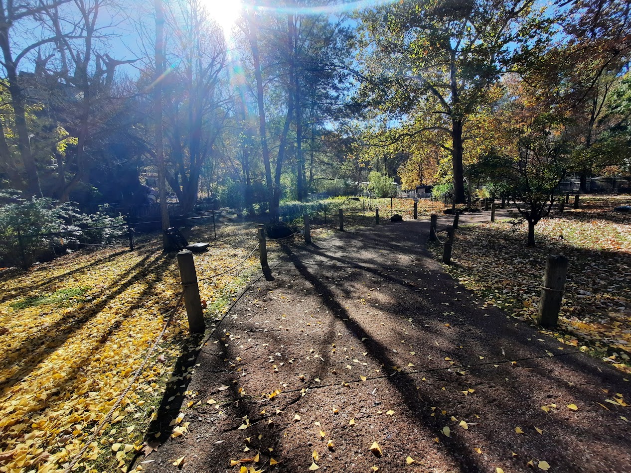 Autumn on the Outback