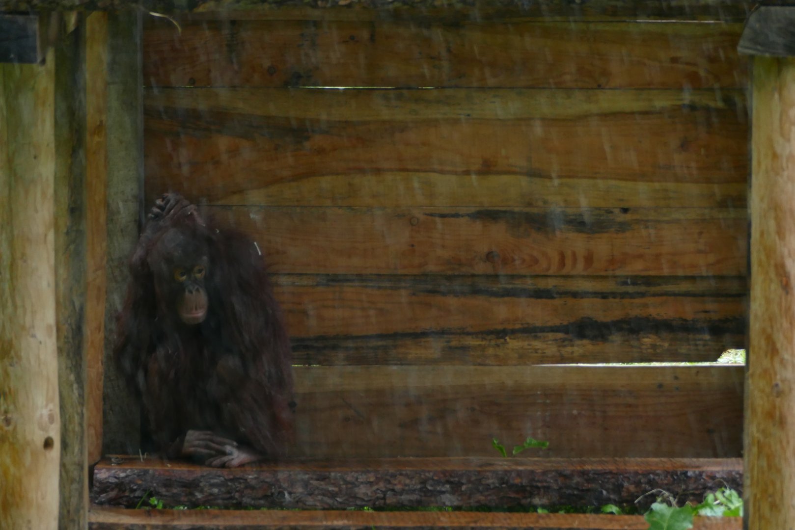 Autumn, September 2020