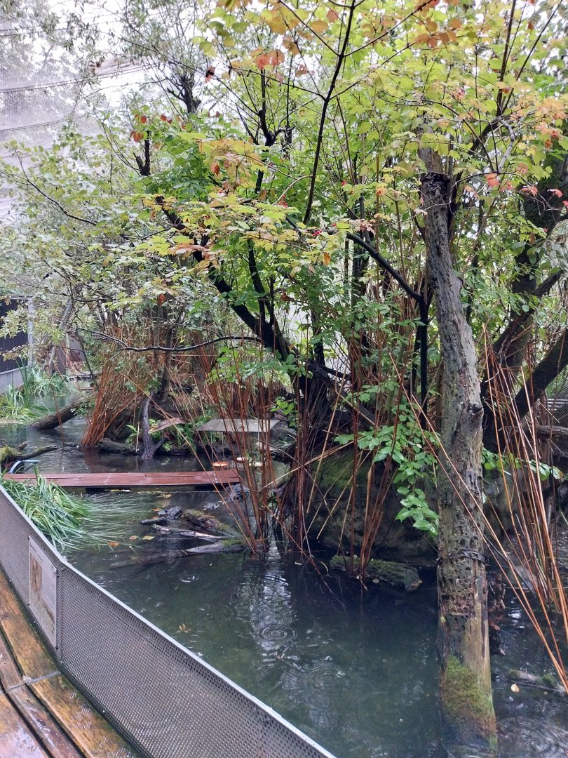 Auwald aviary - General view
