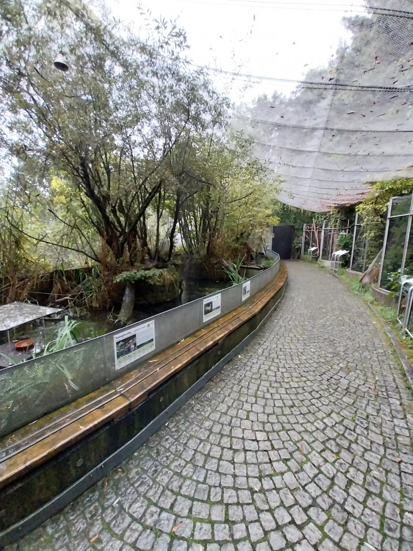 Auwald aviary - General view
