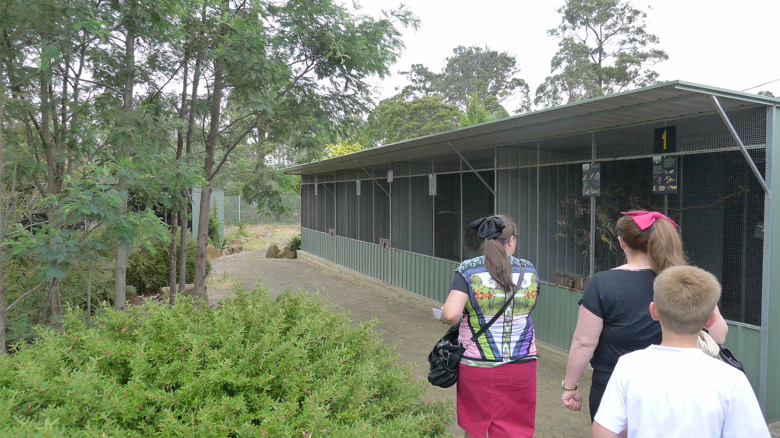 Avairies for caneries, finches and parrots