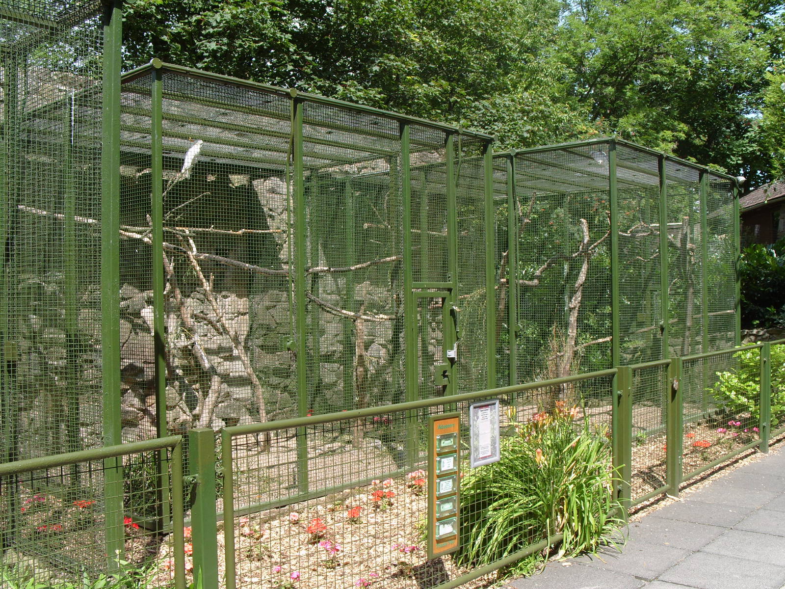 AVAIRY FOR COCKATOOS