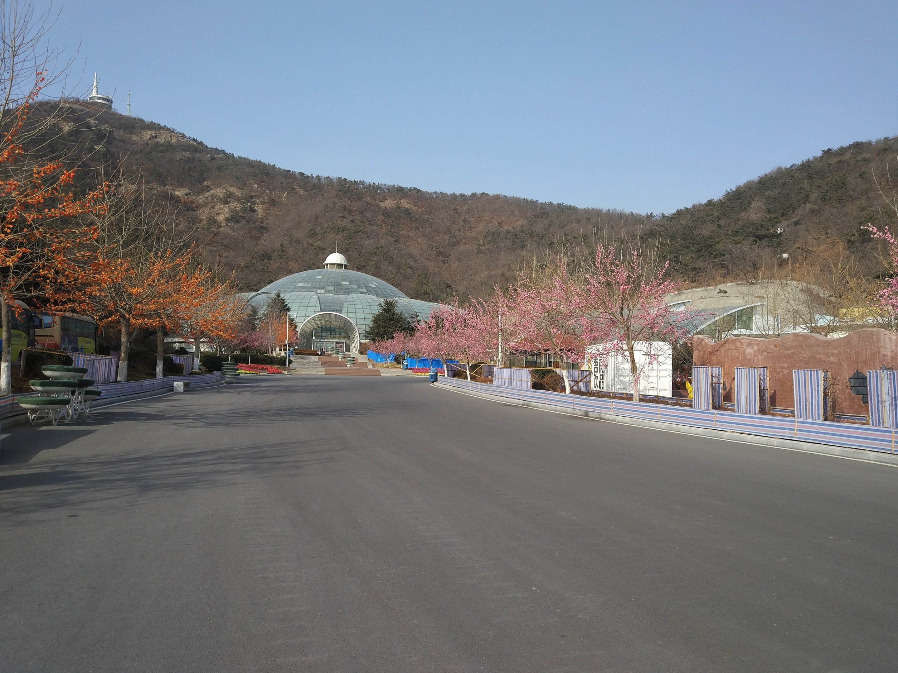 Avenue Leading To Tropical House