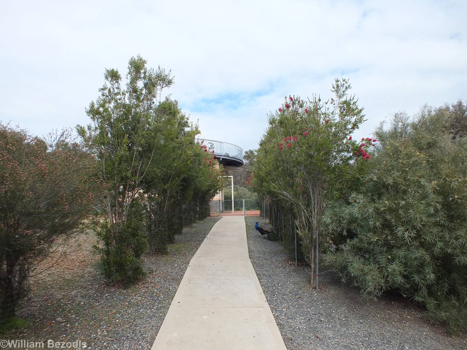 Avenue Leading Towards Deep Space Observatory (which is also the toilets) -